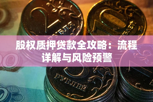 武汉股权质押贷款全攻略：流程详解与风险预警