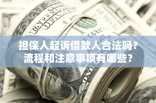 武汉担保人起诉借款人合法吗？流程和注意事项有哪些？