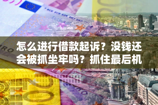 武汉怎么进行借款起诉？没钱还会被抓坐牢吗？抓住最后机会！
