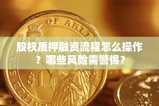 武汉股权质押融资流程怎么操作？哪些风险需警惕？