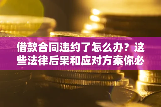 武汉借款合同违约了怎么办？这些法律后果和应对方案你必须知道