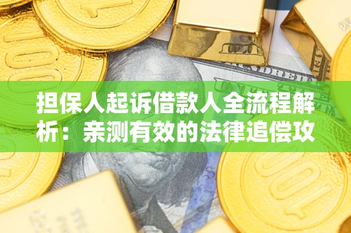 武汉担保人起诉借款人全流程解析：亲测有效的法律追偿攻略
