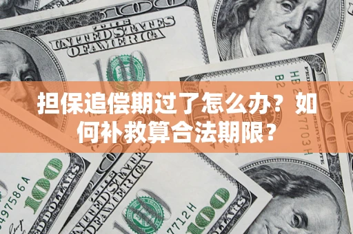 武汉担保追偿期过了怎么办？如何补救算合法期限？