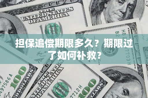 武汉担保追偿期限多久？期限过了如何补救？