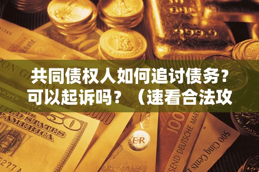 武汉共同债权人如何追讨债务？可以起诉吗？（速看合法攻略）