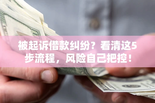 武汉被起诉借款纠纷？看清这5步流程，风险自己把控！