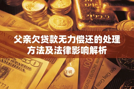 武汉父亲欠贷款无力偿还的处理方法及法律影响解析