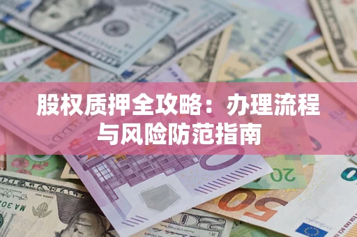 武汉股权质押全攻略：办理流程与风险防范指南