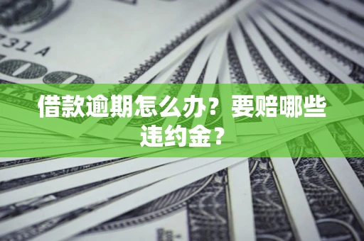 武汉借款逾期怎么办？要赔哪些违约金？