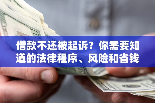 武汉借款不还被起诉？你需要知道的法律程序、风险和省钱技巧